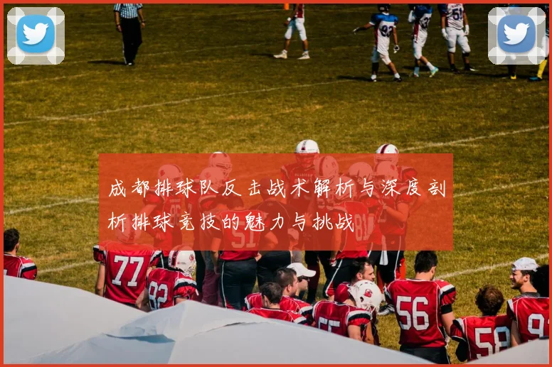成都排球队反击战术解析与深度剖析排球竞技的魅力与挑战