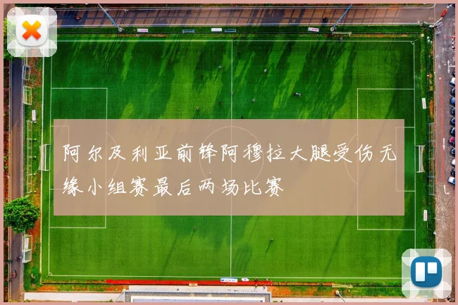 阿尔及利亚前锋阿穆拉大腿受伤无缘小组赛最后两场比赛